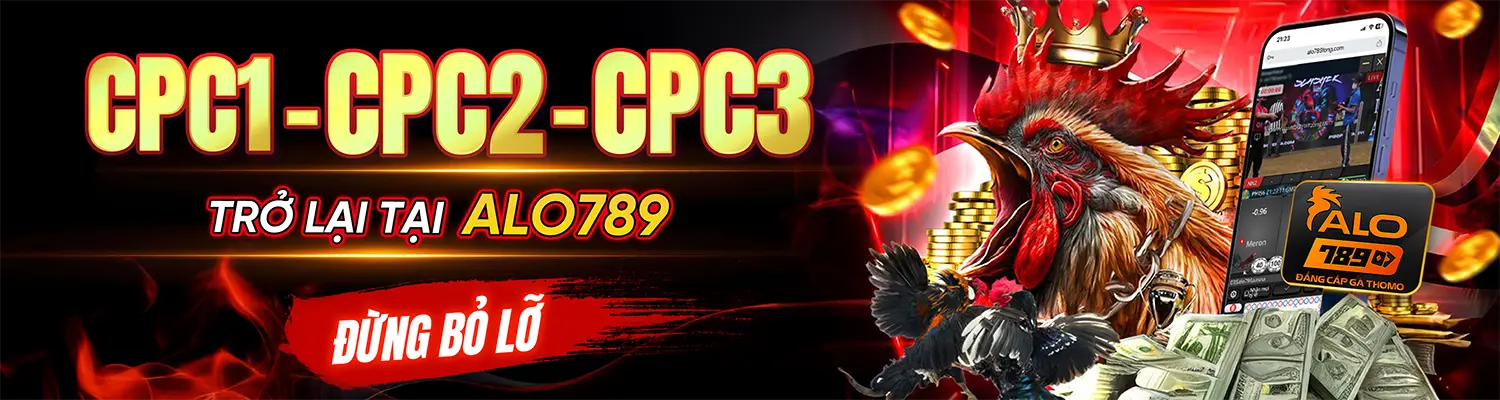 ALO789 CHICAGO - Nhà Cái ALO789.COM Cá Cược Đá Gà Thomo Trực Tiếp T9/2026