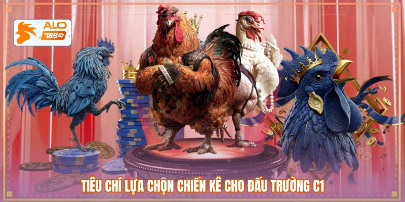 Tiêu chí lựa chọn chiến kê cho đấu trường C1